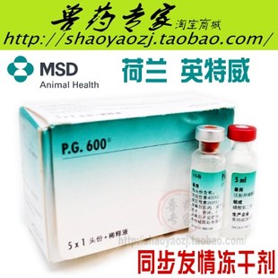 英特威PG600 必精600 同步发情激素的冻干制剂 进口猪发情针 兽药
