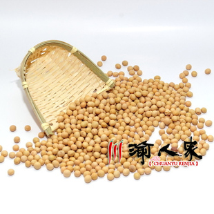 重庆特产 农家有机黄豆健康食品 非转基因大豆专打营养豆浆 500g