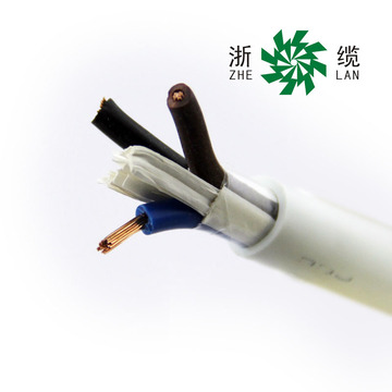 浙江中策电线 浙缆牌 RVV2*2.5平方电缆线 软护套线 100米