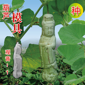 特价促销天台山艺术范制创意趣味葫芦种植观音系列模其它园艺用品