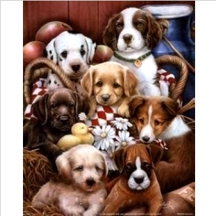 正品专卖DMC十字绣动物狗系列 客厅新款大幅卡通图案 小狗之家ks