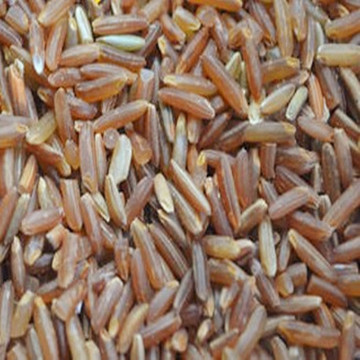 天然红米 1斤农家出口级红稻米煲粥干货五谷杂粮 包邮