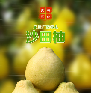 【和任果业】正宗广西容县沙田柚自产自销6个全国包邮15斤98.8元