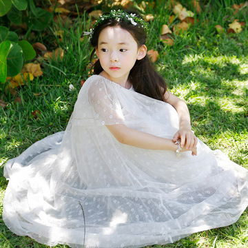 2015韩版童装春秋新款蕾丝裙女童蕾丝长裙浪漫公主纱裙可爱连衣裙