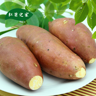 红薯之家 老北京新鲜红薯 农家自种 农场无公害番薯 番薯