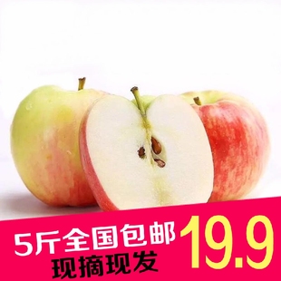 现摘现卖秦岭花冠苹果新鲜水果绿色有机特产孕妇水果5斤全国包邮