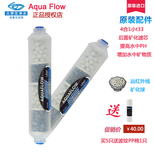 台湾进口Aqua Flow4合1小T33后置活性炭滤芯增加微量元素 提升PH