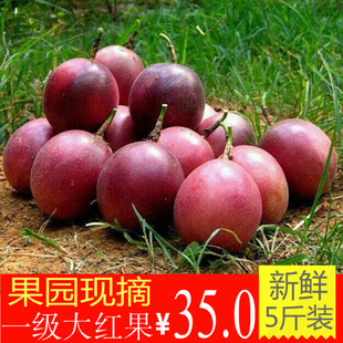 【鲜之每日】广西百香果特级大红果新鲜水果西番莲鸡蛋果5斤包邮