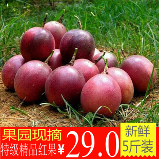 【鲜之每日】广西百香果新鲜水果一级5斤约38个西番莲鸡蛋果包邮