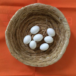 假鸽子蛋 假蛋 注水 实心 鸽子假蛋鸽子用品用具孵卵用品免邮批发