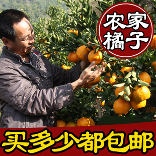 四川特产新鲜水果农家自种橙子橘子脐橙桔子柑橘椪柑丑柑3000g