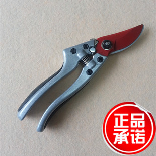 台湾刘盛 修枝剪 果树剪 园林园艺进口工具  P-A8-1F 刀刃特氟龙