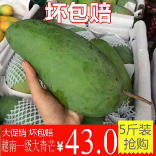 【鲜之每日】越南新鲜水果金煌青皮大青芒果胜海南金煌芒5斤包邮