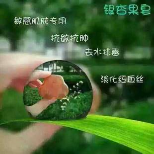 台湾银杏褐果果皂50g排毒抗敏抗肿抗氧化去红血丝正品手工皂包邮