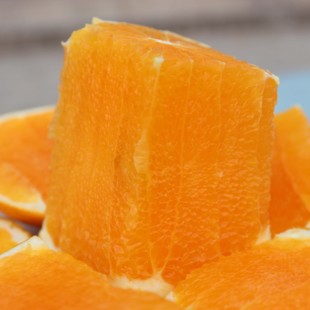 2016年秭归脐橙橙子/长虹橙子农家自种新鲜水果现摘现发限区包邮