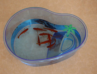 超特大号水族乌龟带晒台水龟金鱼缸箱宠物专用缸 生态养龟盆包邮