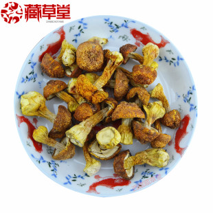 西藏 干货姬松茸500克 野生菌 姬松茸 新鲜 舌尖上的中国美食特产