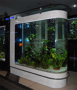 吧台0.8米1米1.2米子弹头玻璃鱼缸/屏风鱼缸/生态鱼缸水族箱/包邮