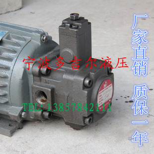 液压内轴电机油泵组合0.75KW/VP15/CBN，1.5KW/VP20/CBN