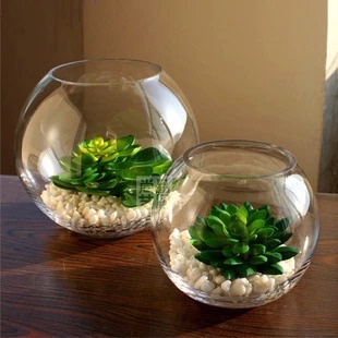 水培植物玻璃瓶 花卉摆件盆景玻璃器皿 圆形小鱼缸 风信子花盆
