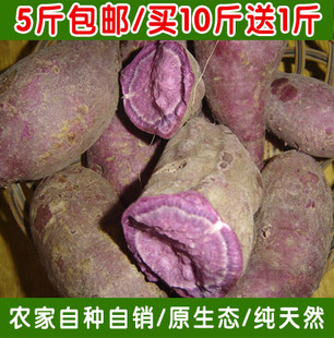 现挖农家自产新鲜紫薯红薯地瓜精品紫薯紫心自种地瓜5斤包邮