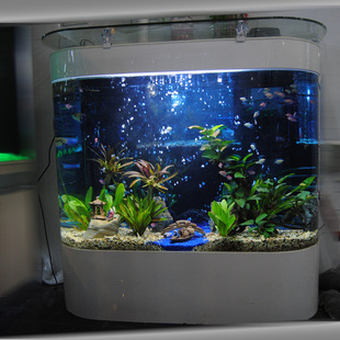鱼缸水族箱生态双圆鱼缸玻璃 落地圆角欧式鱼缸 2014年新款免换水