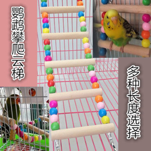 大中小型鹦鹉玩具用品攀爬梯云梯秋千啃咬玩具站架站杠 木珠爬梯