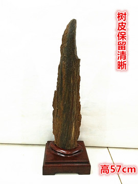 60厘米 大件戈壁木化石 树皮 天然精品 奇石头原石摆件 硅化木