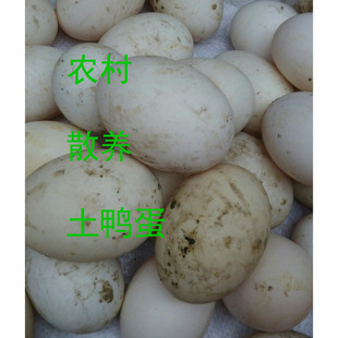 20个包邮 重庆农家散养鸭蛋 原生态绿色有机正宗 新鲜土鸭蛋