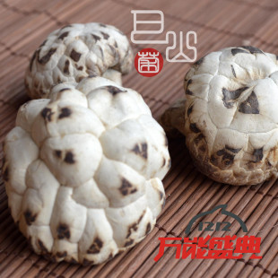 四川特产 绿色食用菌特级原木椴木大白花菇香菇 顶级冬菇蘑菇干货