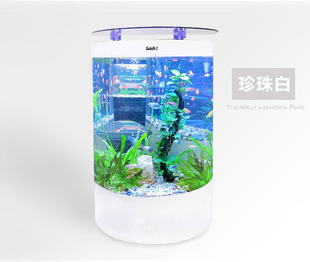半圆生态鱼缸水族箱靠墙鱼缸玻璃免换水中型背过滤落地鱼缸可定制