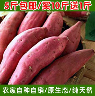 香薯特产农家新鲜红薯黄心地瓜山芋小番薯白薯自种有机5斤包邮