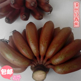 福建漳州红香蕉，优质特产，产地直发，5斤包邮发全峰快递