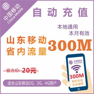 山东移动省内300M通用手机流量充值上网叠加油卡包当月有效优惠