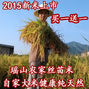 瑶山 2015年农家自产新大米现磨  丝苗米 油香粘米5kg胜东北五常