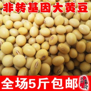 黄豆 非转基因 农户自种有机小黄豆 可发豆芽豆浆  包邮 250g