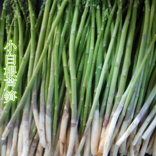 新鲜芦笋.短白根芦笋.白根仅有6厘米左右.美味蔬菜.来自福建漳州