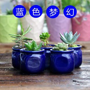 爱家陶瓷花盆蓝色方形简约个性化多肉植物小花盆特价多肉植物花盆