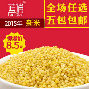 蓝俏 小米子 优质黄小米 农家自产 500g 东北小米 黄小米2015新米