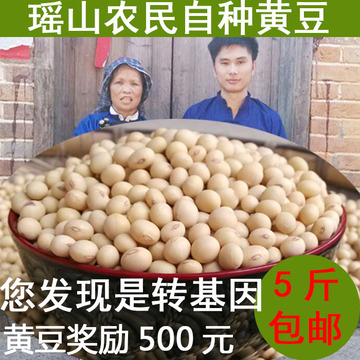 农家自产有机黄豆非转基因小黄豆打豆浆专用2014年新黄豆5斤包邮