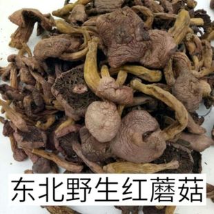 东北野生红蘑菇  红松伞  250g  2斤包邮