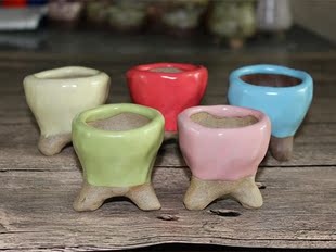 马卡龙多肉花盆桌面绿植粗陶拇指盆创意小花盆糖果色陶瓷花盆包邮