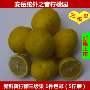 安岳柠檬新鲜三级中果丑果5斤装一件包邮四川纯天然尤力克黄柠檬