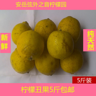 安岳柠檬三级小果丑果包邮/5斤装 四川纯天然尤力克黄柠檬新鲜