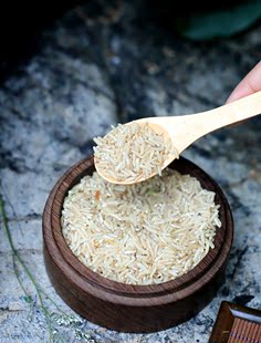 农家自种糙米 发芽粗粮胚芽大米糙米2.5KG 五谷杂粮 农家米不抛光