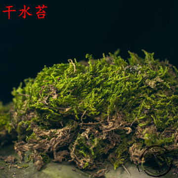 植觉水苔石斛基质苔藓 干水苔 青苔 乌龟保湿宠物龟蛇垫材料500G