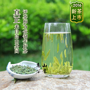 2016新茶春茶明前一级高山开化龙顶雀舌毛尖绿茶叶250克茶农自产