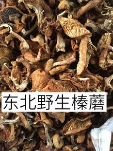 东北野生榛蘑 天然野生蘑菇 榛蘑丁 小鸡炖蘑菇250g   2斤包邮
