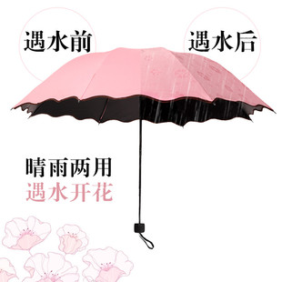 晴雨伞遇水开花折叠黑胶防紫外线加大两用遮阳伞