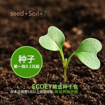 Ecoey 生态E园创意桌面绿植精选种子包心型草爱情草幸运草绿晶钻